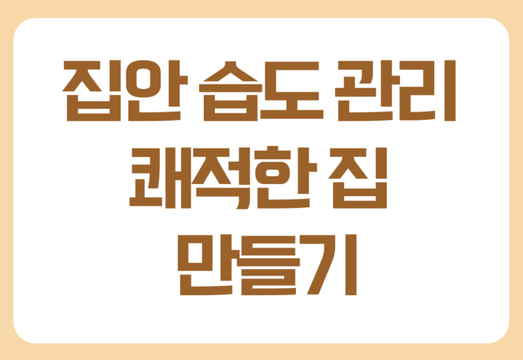 장마철과 겨울철 습도 관리 꿀팁 장마철과 겨울철 습도 관리 꿀팁