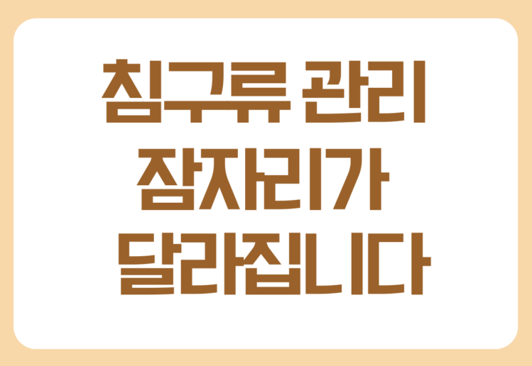 침구류 관리하는 방법 이불과 베개 관리가 중요한 이유 침구류 관리하는 방법 이불과 베개 관리가 중요한 이유