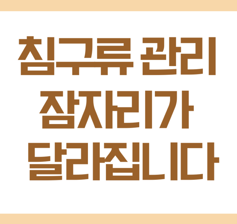 침구류 관리하는 방법 이불과 베개 관리가 중요한 이유